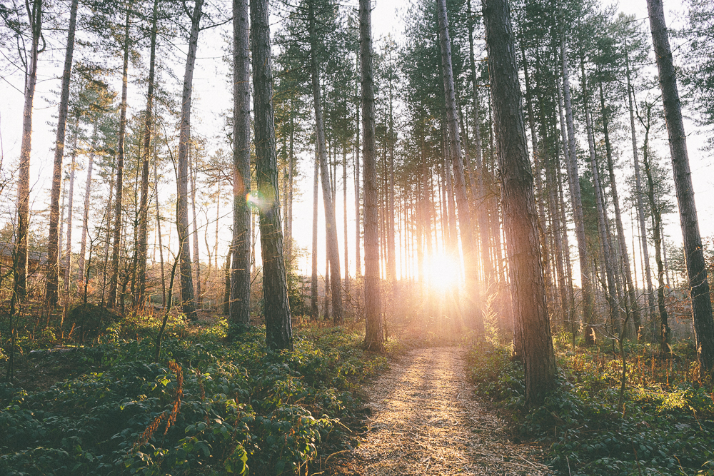 Centre Parcs 001 by Chris Scuffins Getting Lost Scuffins Photography | http://www.scuffinsphotography.com