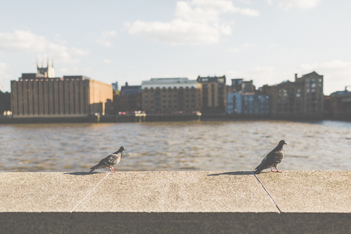 Kamal+James London Summer Engagement Shoot Scuffins Photography 043