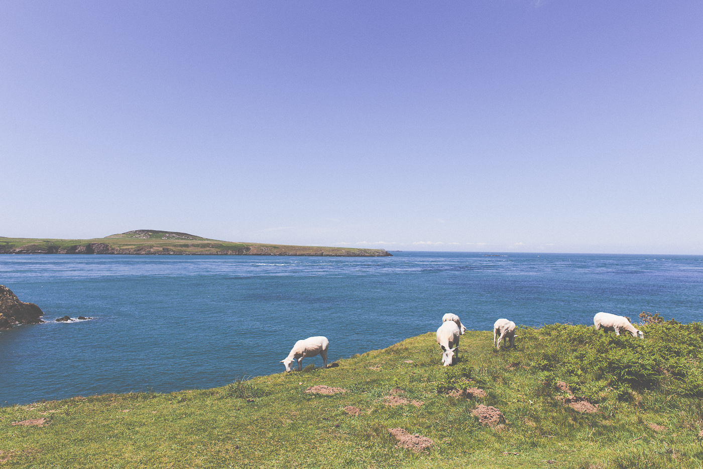 Scuffins Photography Travel Pembrokeshire 65 Travel | Pembrokeshire  Scuffins Photography | http://www.scuffinsphotography.com