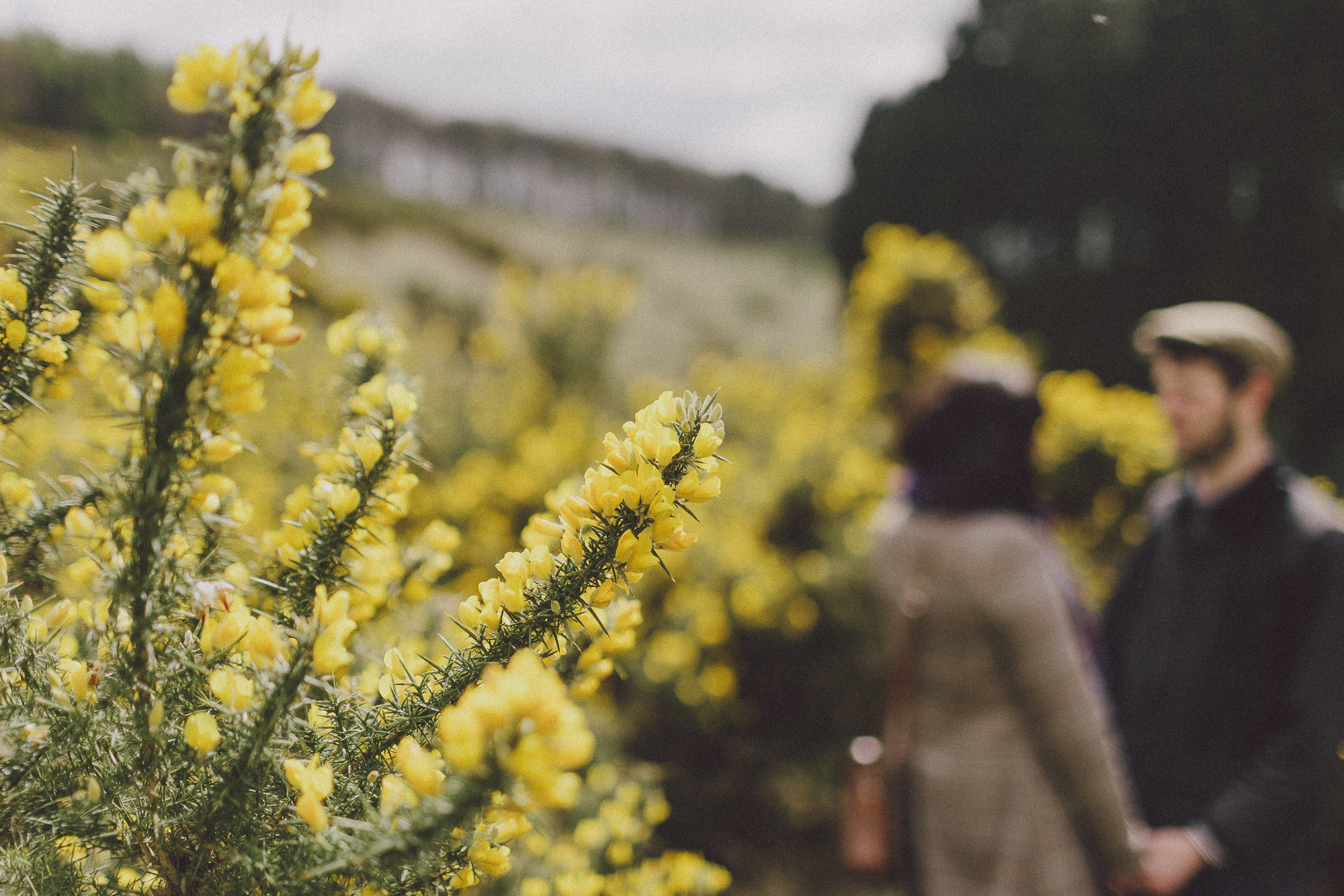 Yorkshire Countryside Dog Walking Engagement Dave + Vicky Scuffins Photography 008