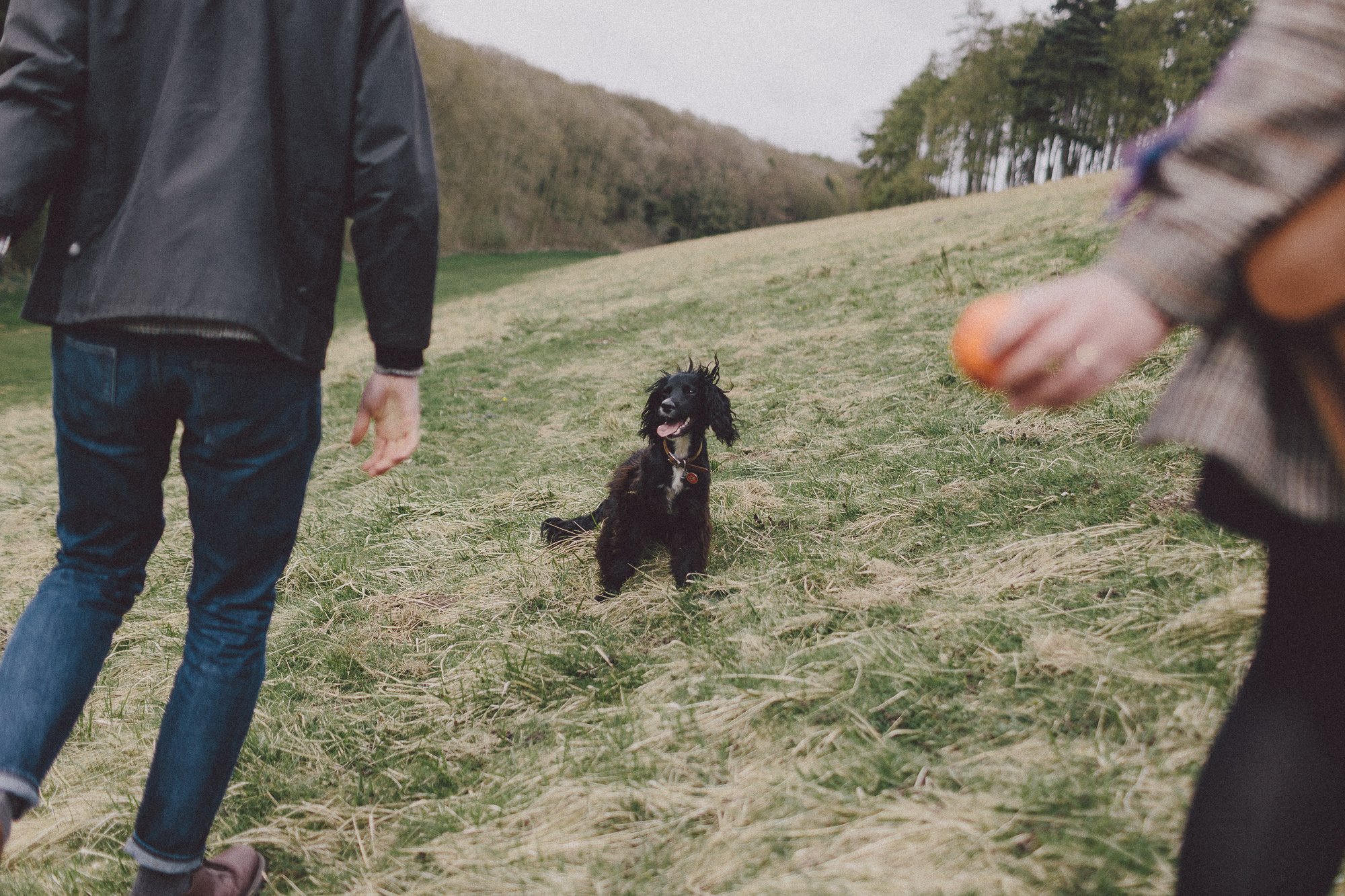 Yorkshire Countryside Dog Walking Engagement Dave + Vicky Scuffins Photography 011