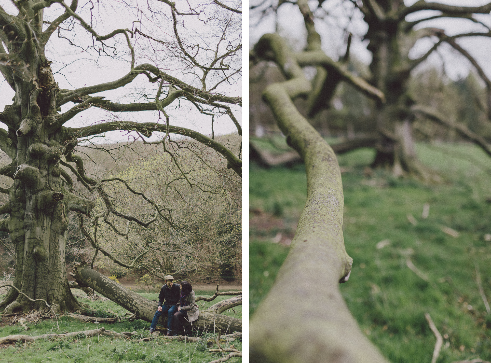 Yorkshire Countryside Dog Walking Engagement Dave + Vicky Scuffins Photography 026