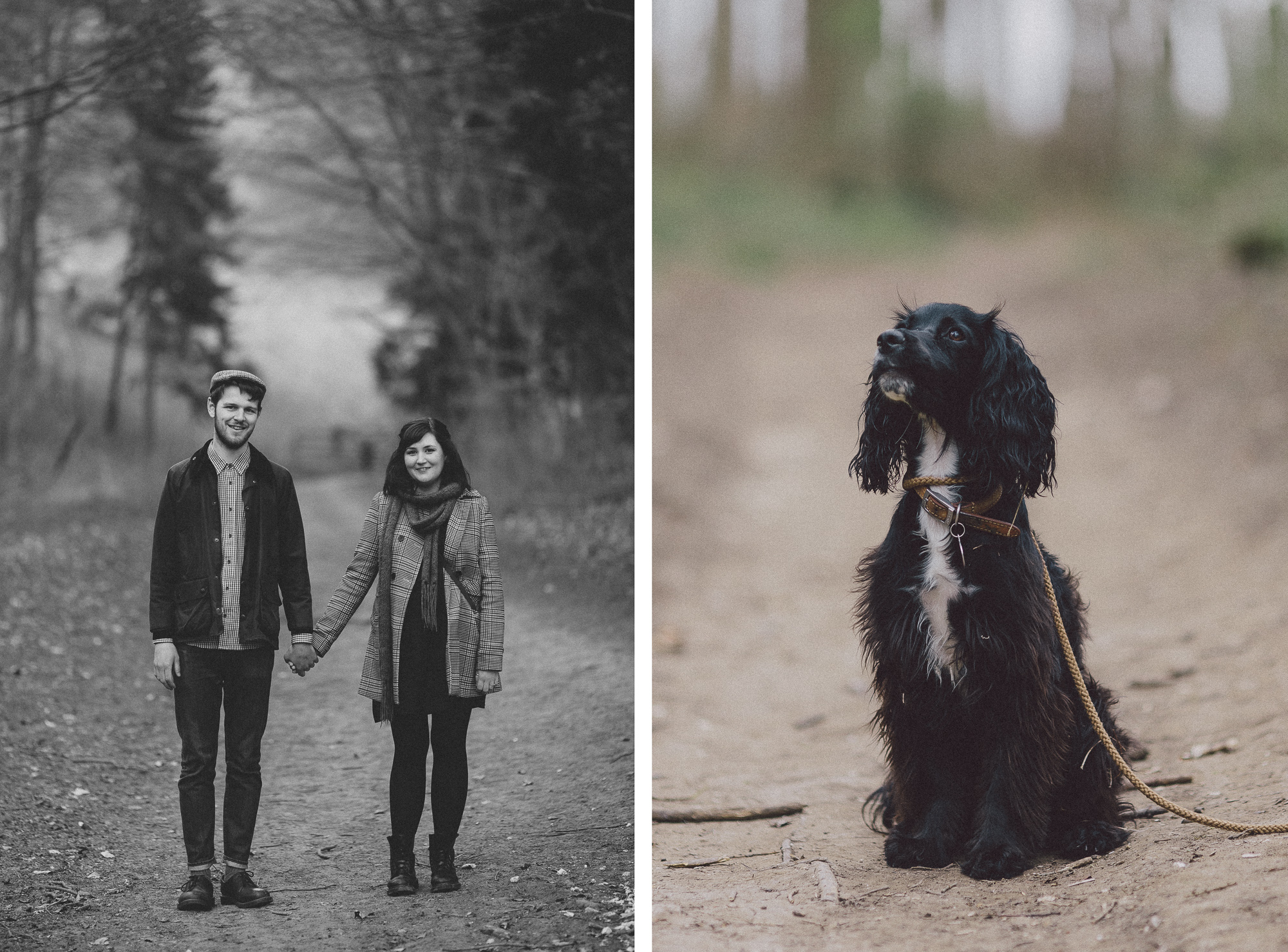 Yorkshire Countryside Dog Walking Engagement Dave + Vicky Scuffins Photography 027